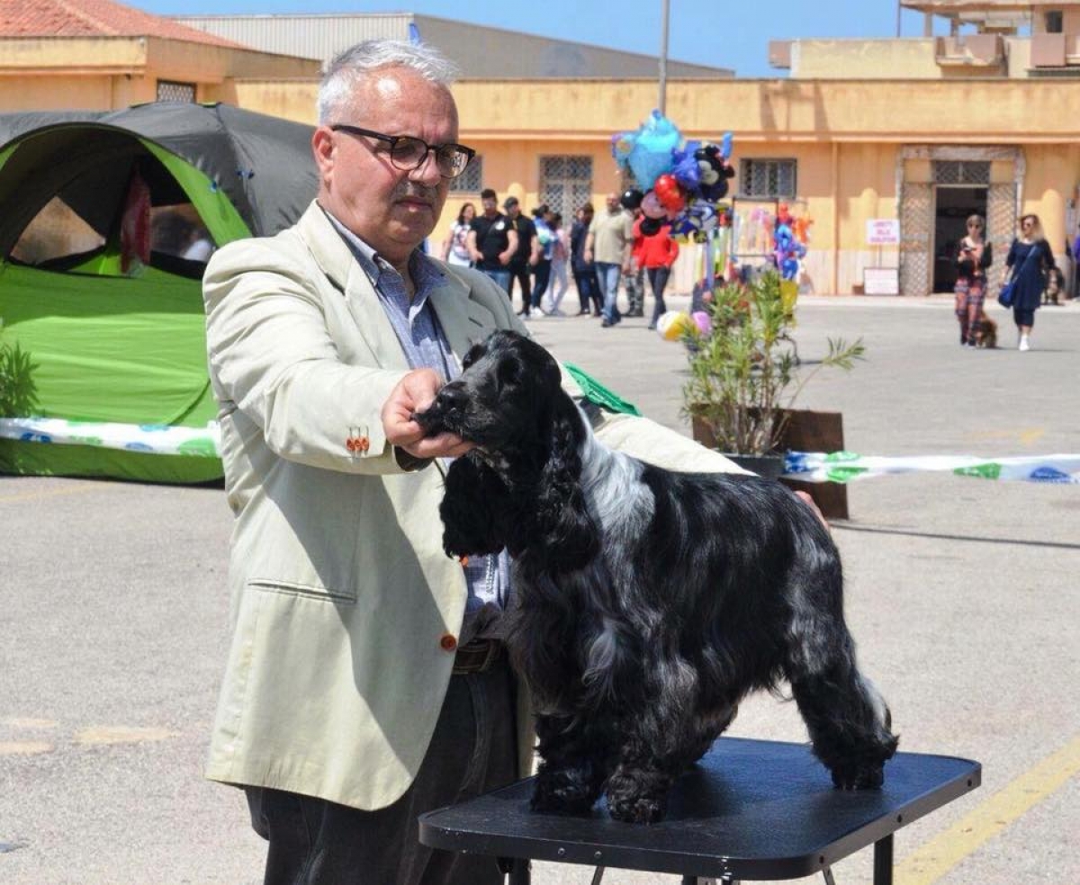 Nazionale di Trapani 21.04.2018